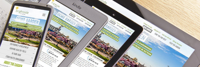 web hosting คือ อะไร